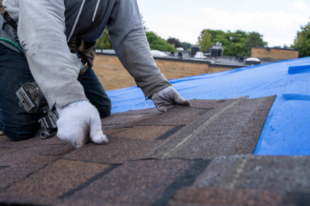 Gutter Installation and Roofing in Sullivan Gardens, TN